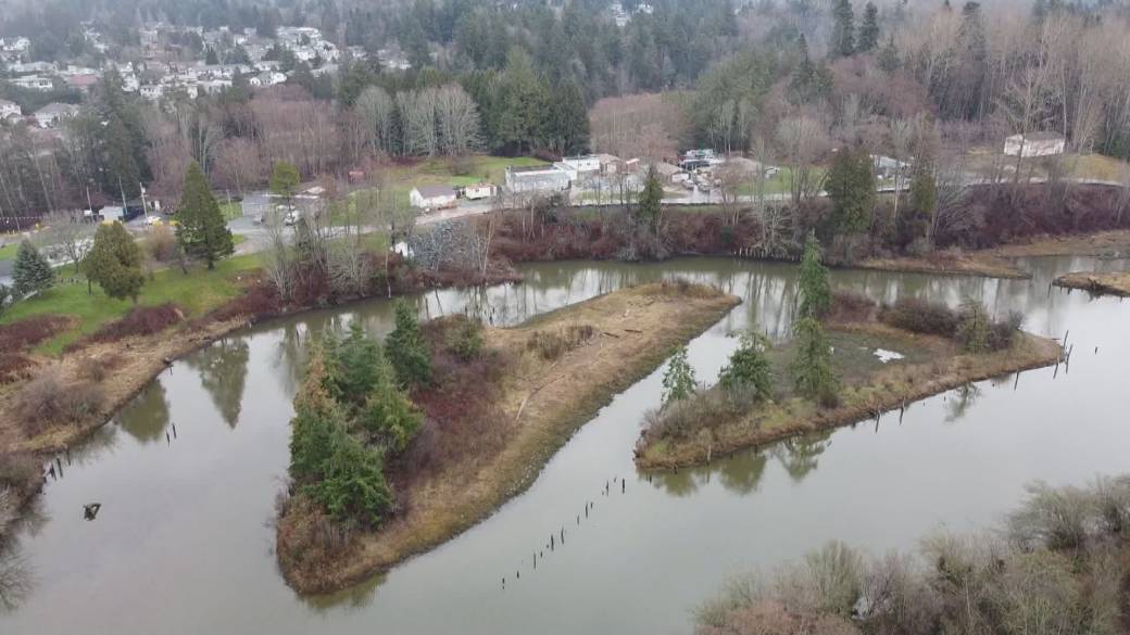 I-click upang i-play ang video: 'Naka-pause ang bumoto sa planong muling pagpapaunlad ng south Surrey'