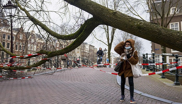 Isang pedestrian ang dumaan sa isang natumbang puno sa tabi ng isang kanal sa Amsterdam noong Pebrero 18, 2022. — AFP