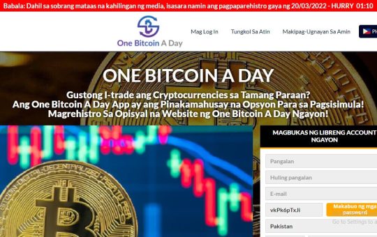 One Bitcoin A Day